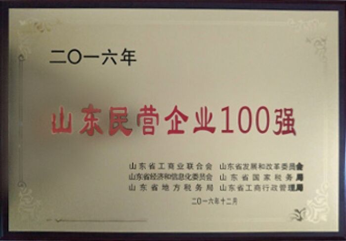 榮獲2016年山(shān)東民(mín)營企業100強